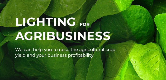 Nami lighting, Lighting for agribusiness, Kiev, Odessa, Dnipro.