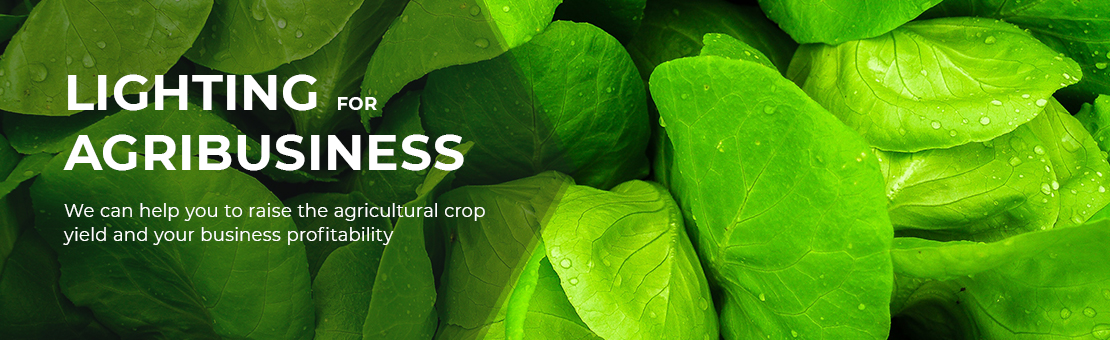 Nami lighting, Lighting for agribusiness, Kiev, Odessa, Dnipro.